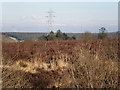 Pylons crossing Fannyside Muir near Cumbernauld in Cumbernauld East Ward