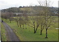 Tree-lined footpath on the eastern edge of Kimberley Park, Newport in NP20 5EZ