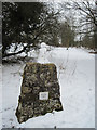Skyline Map cairn at entrance to Oswestry Racecourse in SY10 7PP