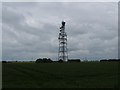Radio mast Newton in Leverington & Wisbech Rural Ward