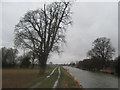 The Royal Military Canal heading towards Hamstreet in TN26 2NT