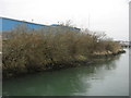 Tidal line on the Itchen (Southampton) in SO14 5RG
