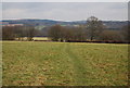 Footpath north of Lower Gate Farm in TN33 0NA