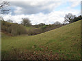 A small valley near Moorpark in TQ12 1UE