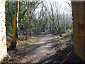 Railway arch in Pebsham Woods in TN40 2QP