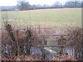 Stile and footbridge near Jenkey Farm in TN26 1LY