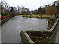 River Wye at Bakewell, in fairly full flow in DE45 1DE