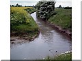 Drain and Borrow Dyke - Paglesham in SS4 2DU