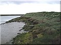 Seawall - Clements Marsh Sluice in SS4 2DY