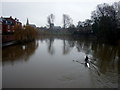 Looking downstream from Greyfriars Bridge in SY2 6BS