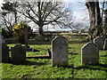 The churchyard at St Mary, Walberton (1) in BN18 0PN