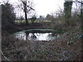Pond by Picket Well in SP6 2RF