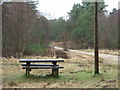 Picnic Bench in Hurn Forest in BH24 2FB