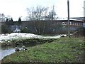 River Tame, near Water Orton in B46 1NW