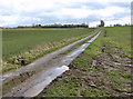 Unnamed lane to the hamlet of Stubbs Green in NR14 6FS
