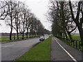 Knavesmire Road - Tadcaster Road in YO23 1PY