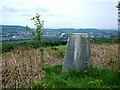 Neath Golf Course trig point in SA10 8DA
