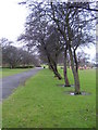 Sandall Park in DN2 5DW
