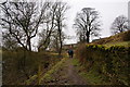Approaching Abney in Abney and Abney Grange