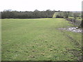 Ullesthorpe-Footpath to the A5 in LE17 5DJ