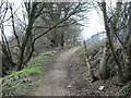 Wooded trail, Castle Vale in B35 7AG