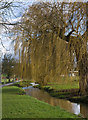 Pymme's Brook and Willows in EN4 8XB