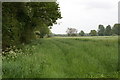 Cow Parsley, Hedgerows and Wheat in NR17 1JR