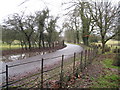 Country lane in Deane in RG25 3AR
