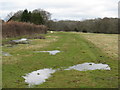 Water logged field at River Park Farm in GU28 9BB