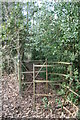 Concealed Kissing Gate in Esclusham Community