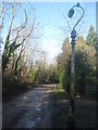 Streetlight on Bishop's Down Park Road in TN4 8AX