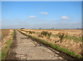 Concrete farm track in the fens in PE34 3NR