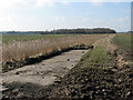 View across fenland north of West Head Farm in PE34 3NR