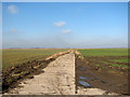Fenland north of Hill Farm in PE34 3NR