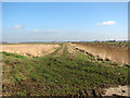 Track alongside a ditch in PE34 3NR