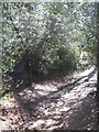 Bridleway and footpath junction in Sproud's Wood in TN4 8TX