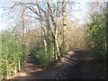 Footpath and bridleway junction in Sproud's Wood (2) in TN4 8TX