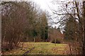 Forest track crossing in York's Wood in HP18 9UP