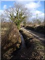 Stream by the lane, Brockle Ford in PL15 7LQ