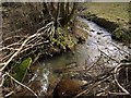 Stream near Brockle Ford in PL15 7LQ