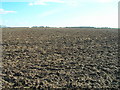 Farmland off Swanland Dale in HU14 3PL
