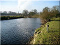 River Ribble at Grindleton in BB7 4QH
