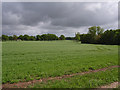 Farmland near Kingsclere in RG20 4SX