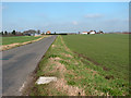 View north along Highbridge Road in PE34 3NJ