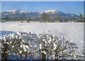 Snow-covered meadow at Sherrards Green Farm in WR14 3QZ