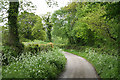 Clayhidon: lane from Lilycombe Cross in EX15 3PN