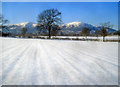 Snow-covered fields at Sherrard's Green in WR14 3QZ