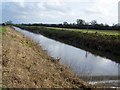 River Brue near Baltonsborough in BA6 8FQ