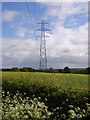 Pylon near Kingsclere in RG20 4SX