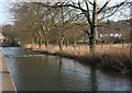 River Darent, Eynsford in DA4 0HZ